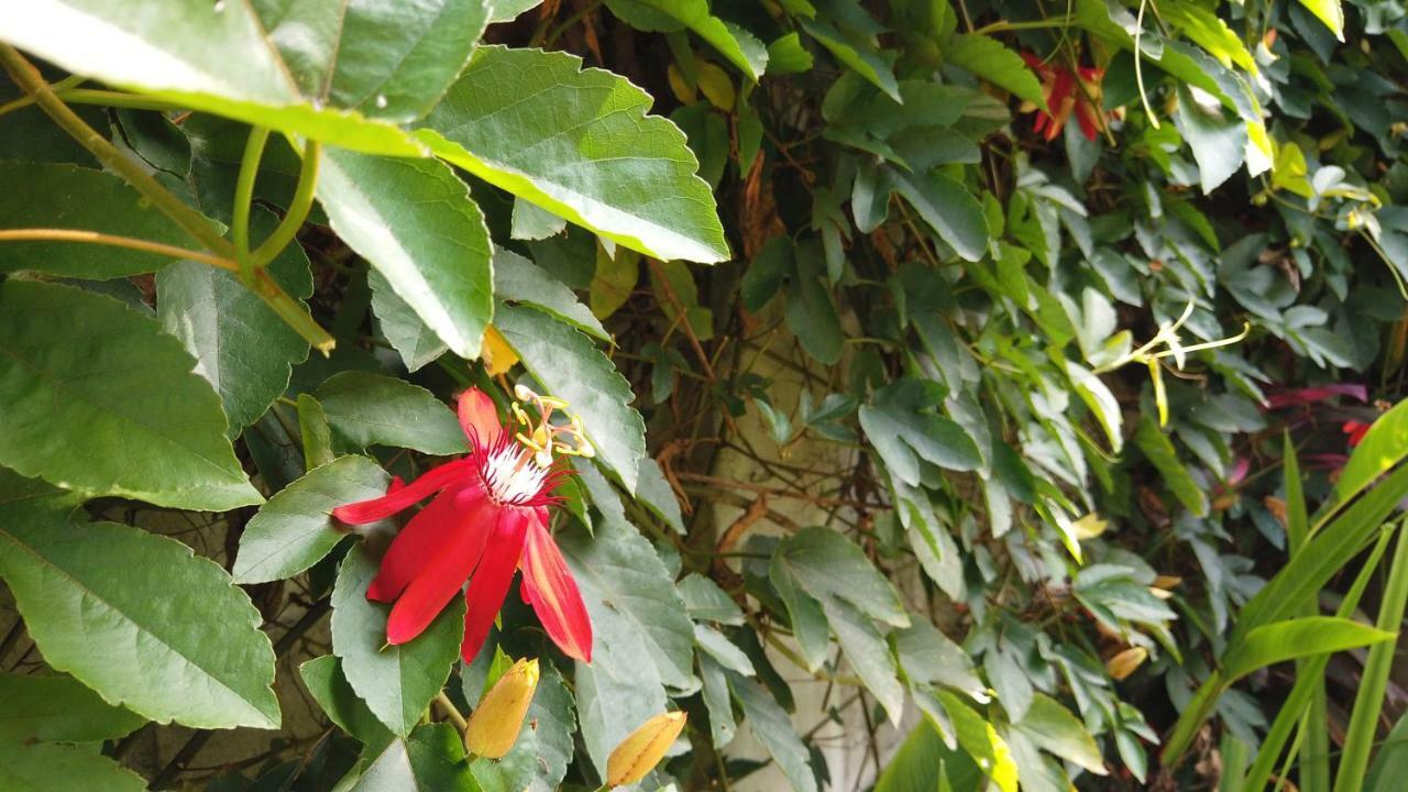 Villa Sindu Ubud 外观 照片